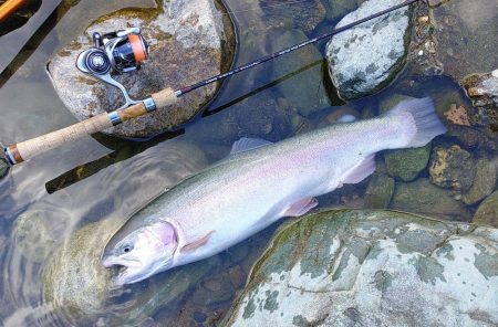なんとか６０オーバーをキャッチ